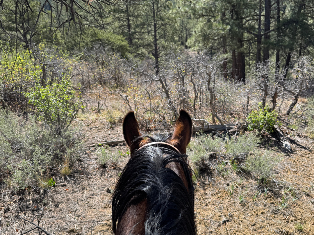 Over the Hill Outfitters-杜兰戈必去景点