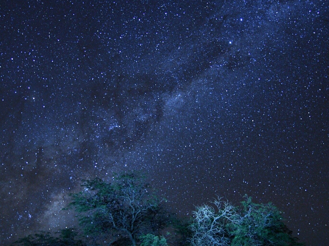 Atacama Desert Stargazing-圣佩德罗-德阿塔卡马必去景点