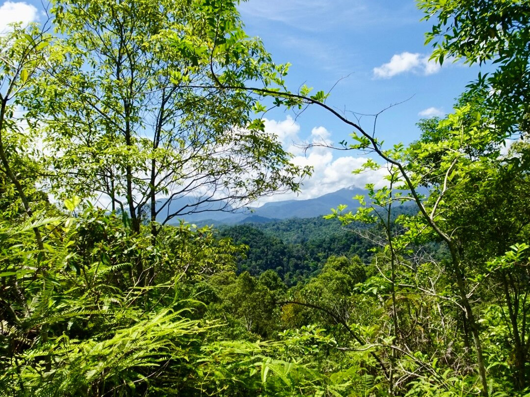 Simolap Wild Adventures-武吉拉旺必去景点