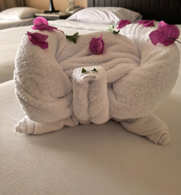 TUI MAGIC LIFE Kalawy主图