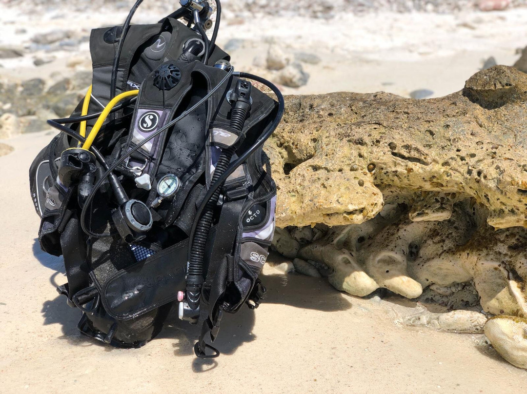 Tropical Divers Resort主图