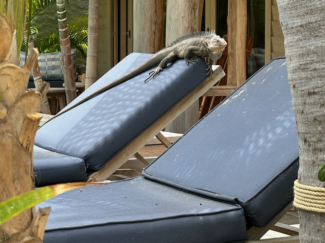 Gyp Sea Hotel & Beach Houses主图