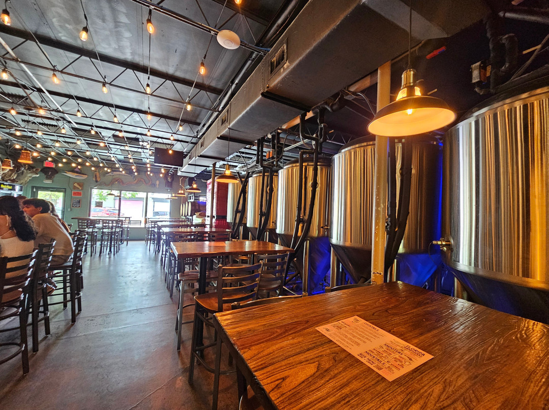 Invasive Species Brewing-劳德代尔堡必去景点