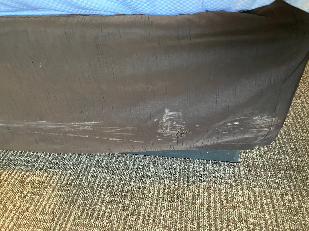 Comfort Suites Near Route 66主图