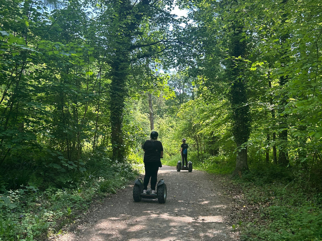Lakeland Segway景点图片