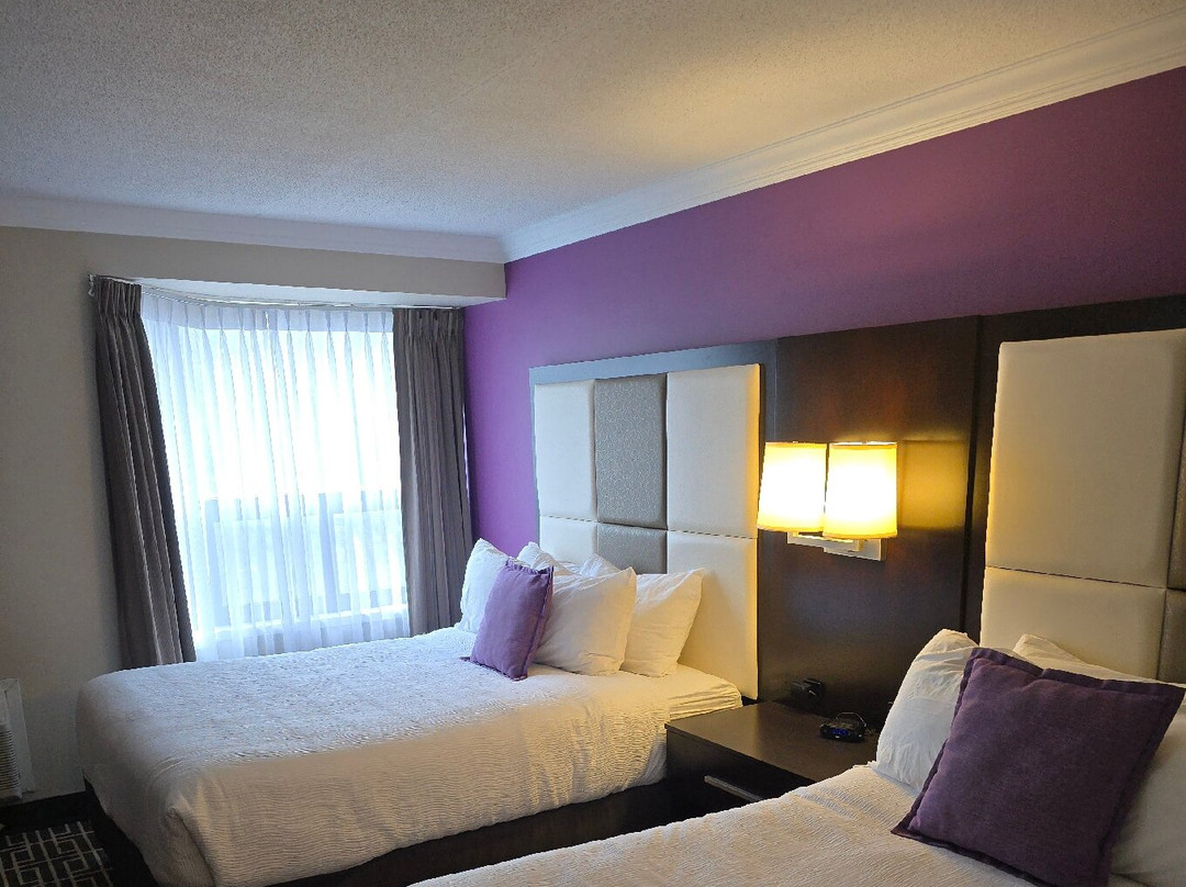 旅游者酒店主图