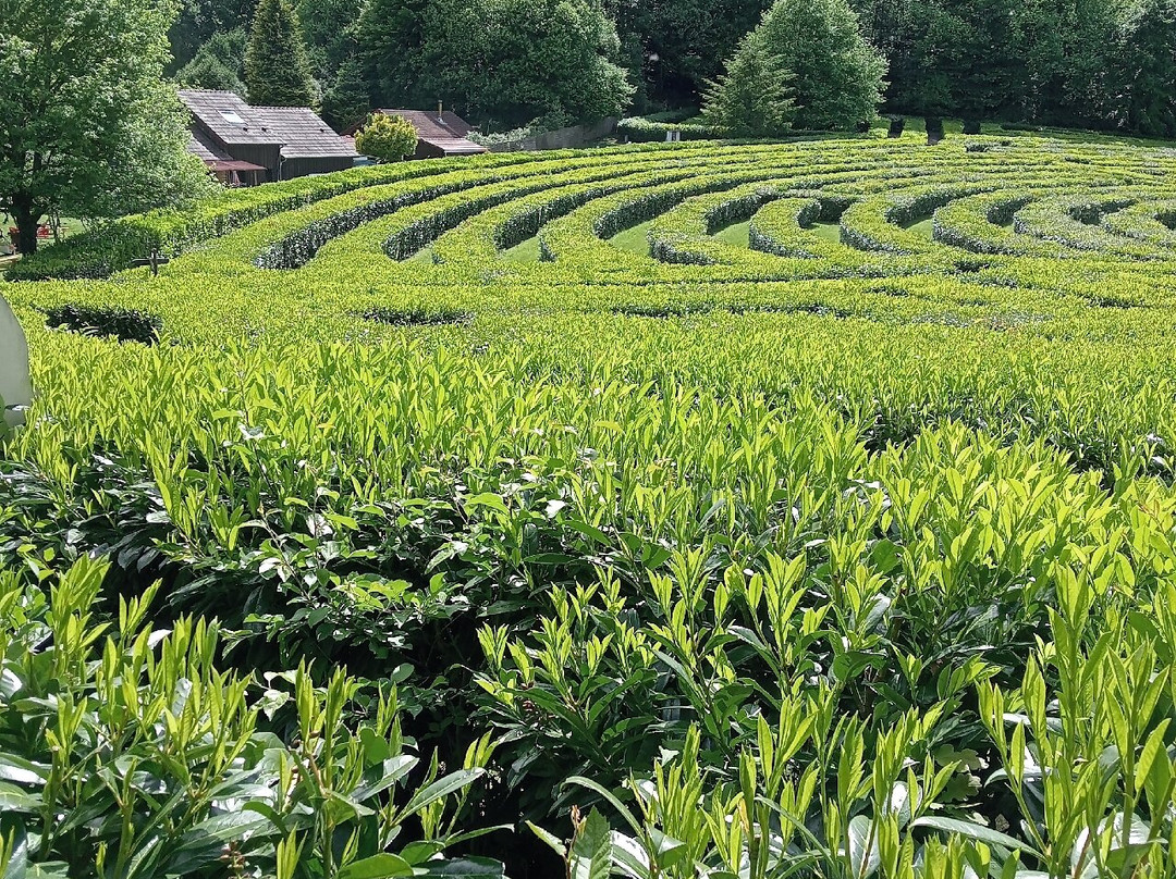 Labyrinthe Géant des Monts de Guéret-Gueret必去景点