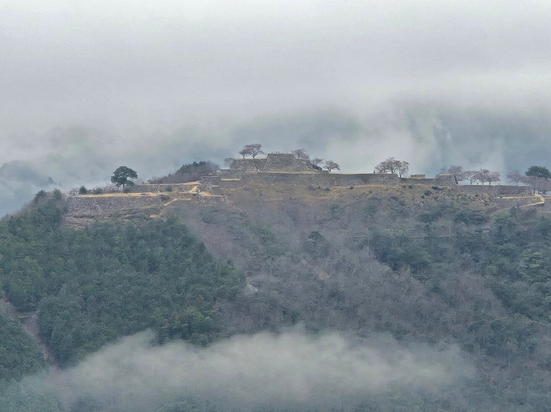 Takeda Castle Ruins景点图片