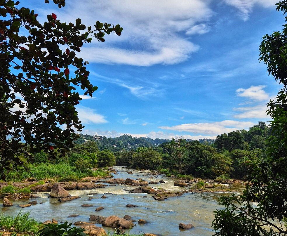 Ceylona Tours-Haburugala必去景点