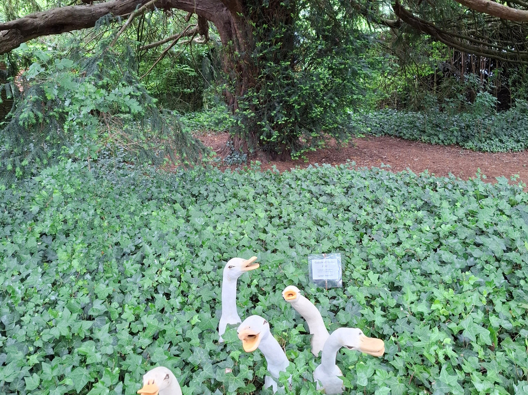 Showborough House Sculpture Garden-图克斯伯里必去景点