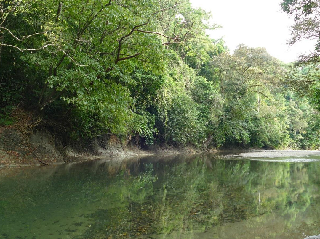 Puerto Jimenez De Puntarenas Costarica景点图片