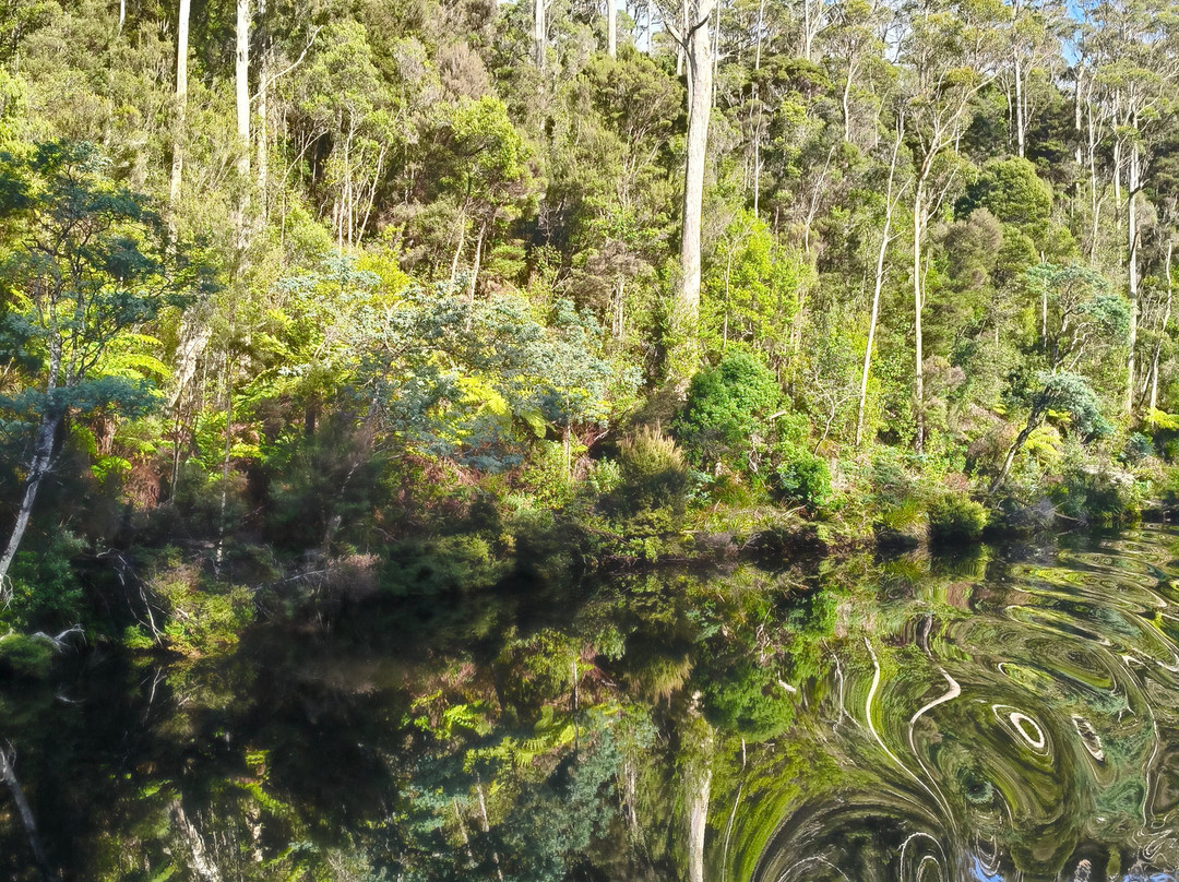 Arthur River Cruises-Arthur River必去景点