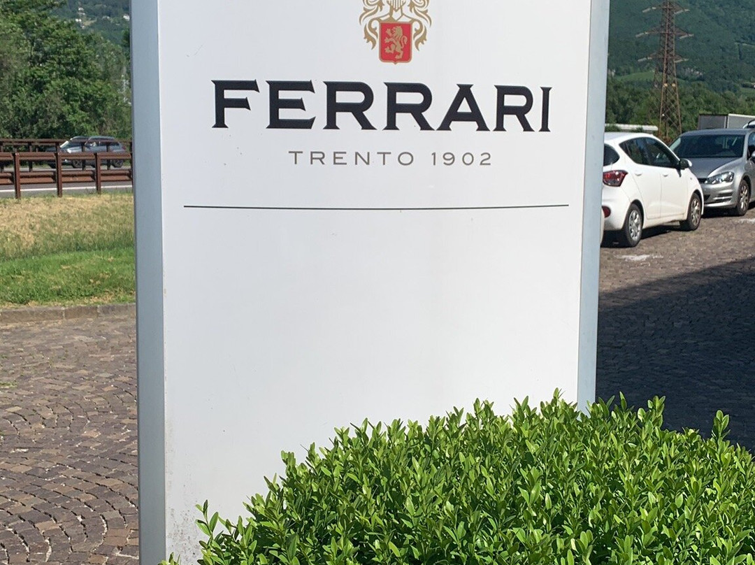 Cantine Ferrari F.lli Lunelli-特伦托必去景点
