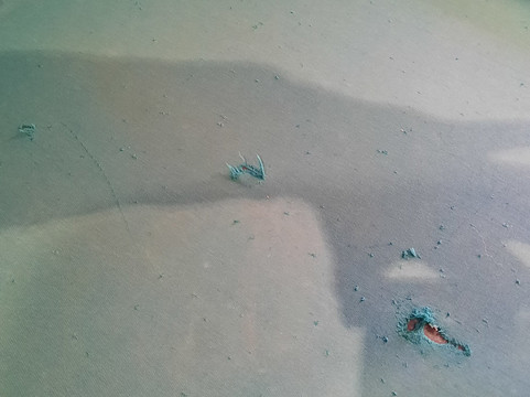 Les Merlettes & Le Merle Moqueur