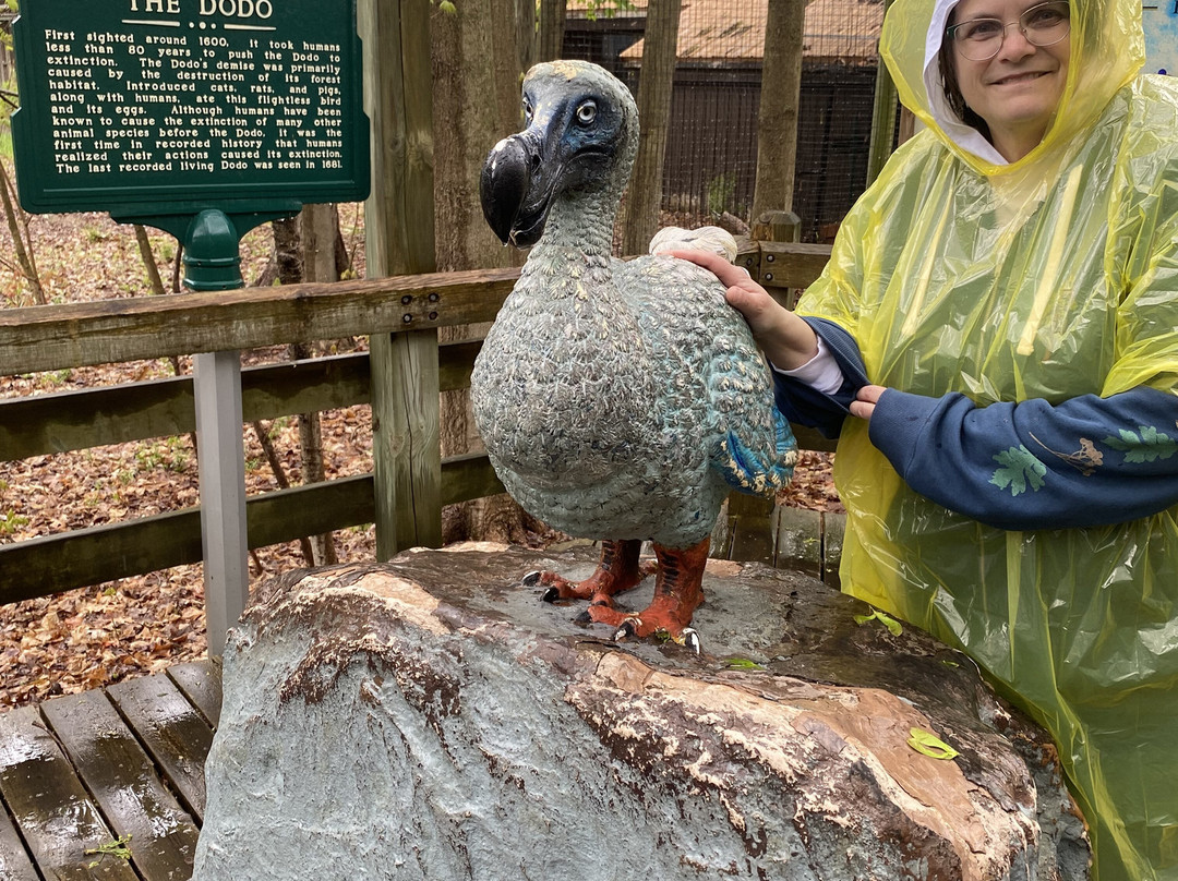 Binder Park Zoo-Battle Creek必去景点