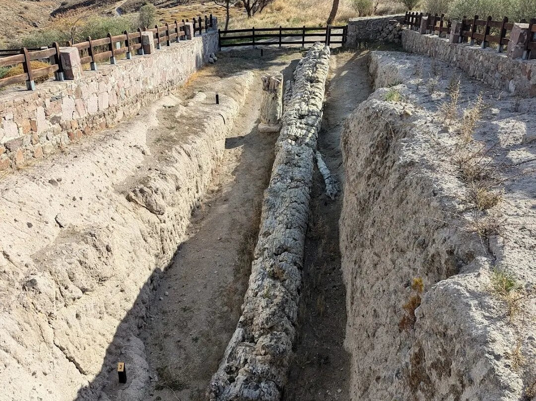 Petrified Forest of Lesbos-Lesbos必去景点
