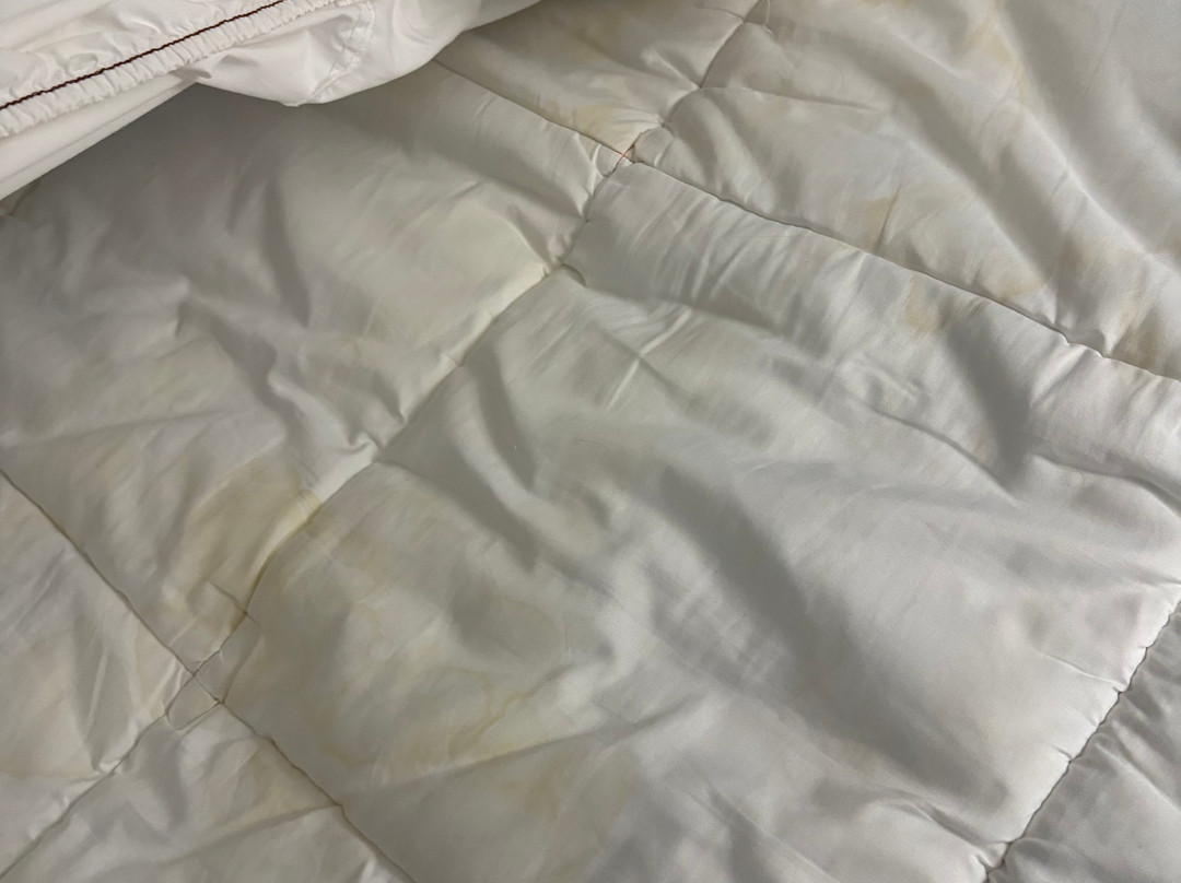 Super 8 by Wyndham York NE主图