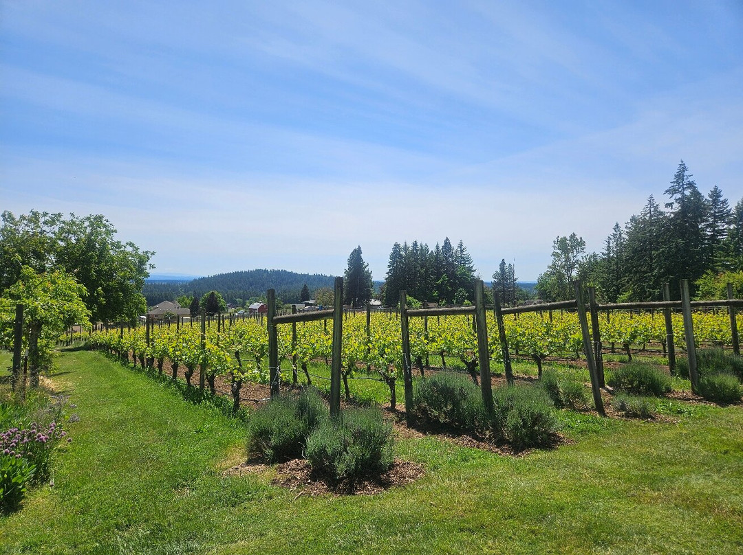 Terra Vina Wines-麦克明维尔必去景点