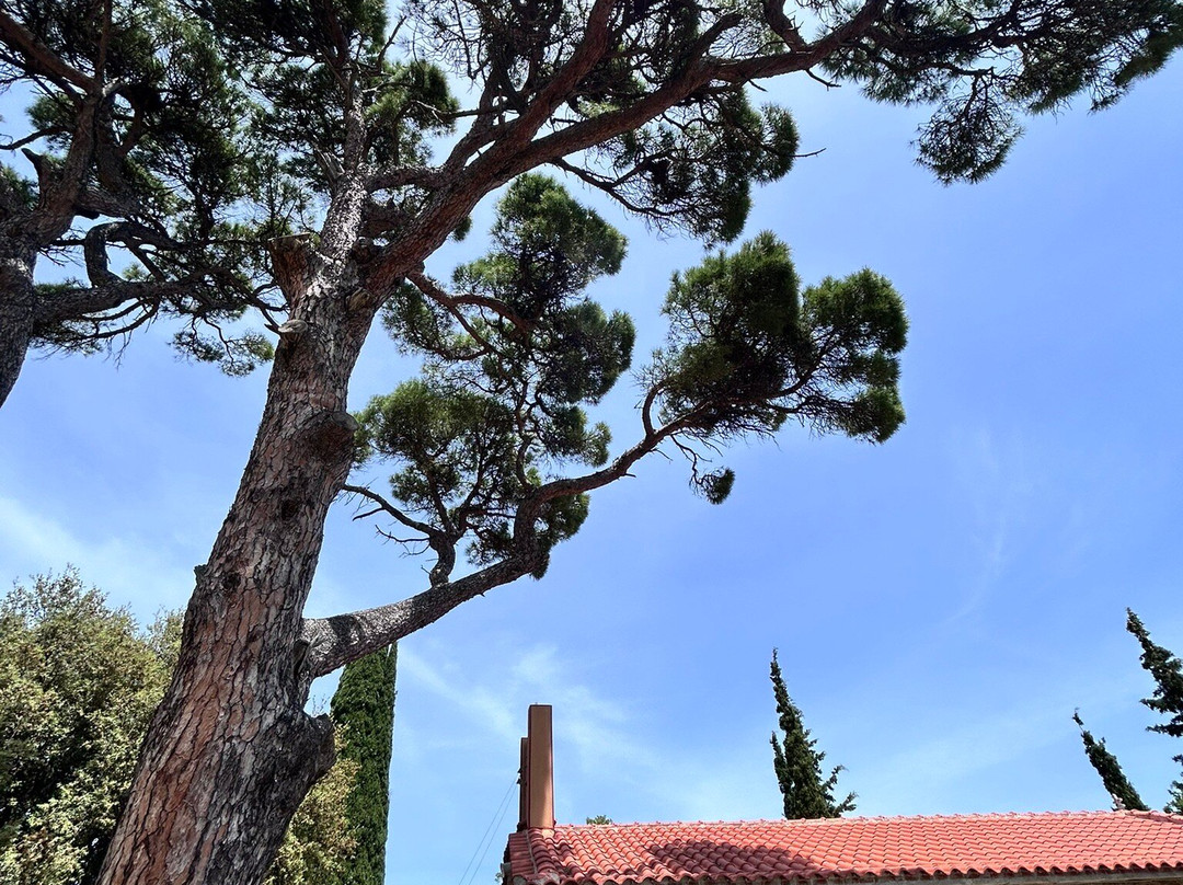 Monastero di Panagia Evangelistria景点图片
