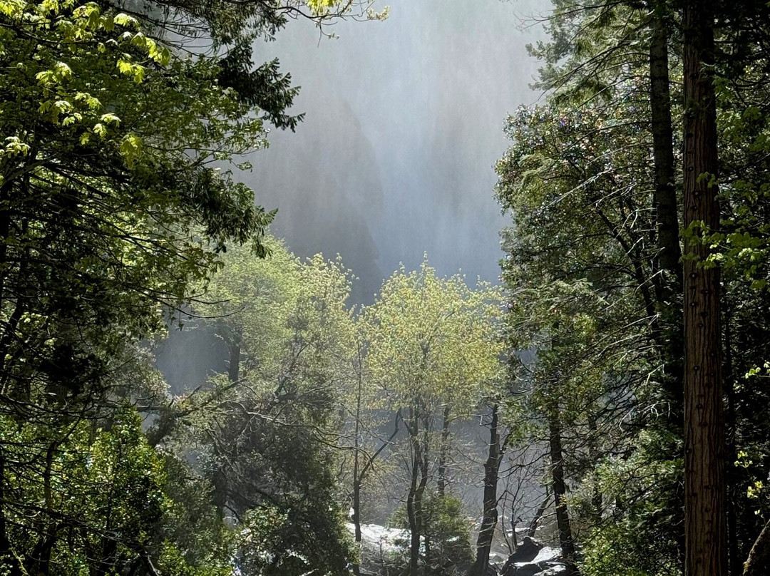 Yosemite Private Tours景点图片