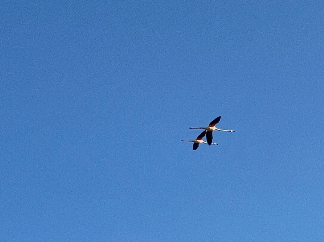 Greece Bird Tours-Marathon必去景点