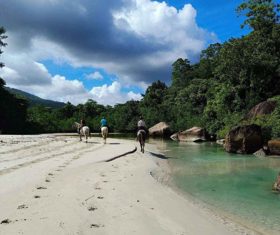 Turquoise Horse Trails-马埃岛必去景点