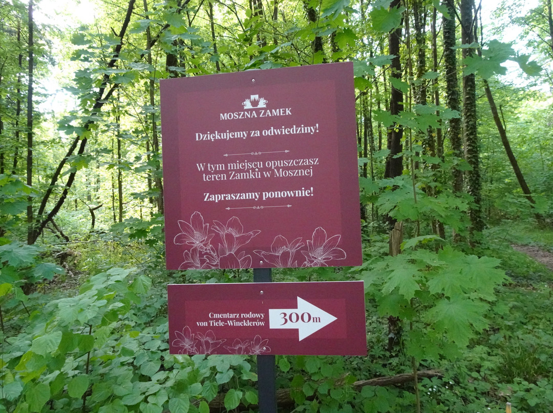 Park Zamkowy W Mosznej景点图片