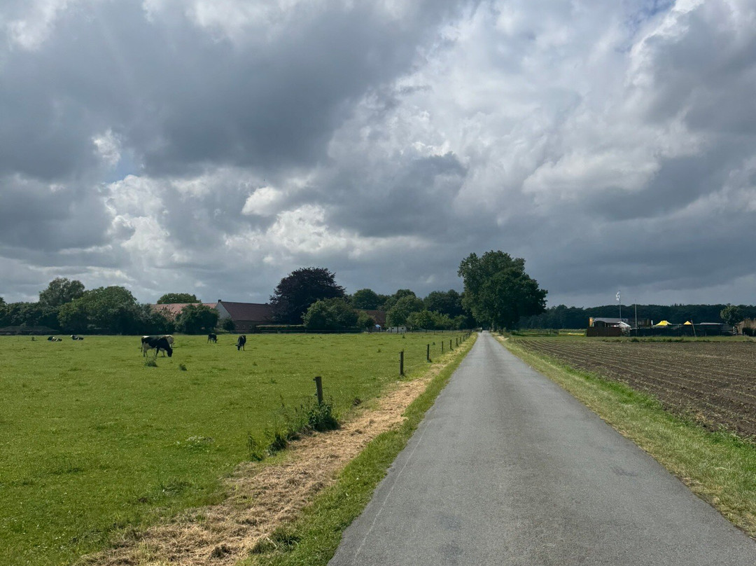 City Hotel Kleve主图