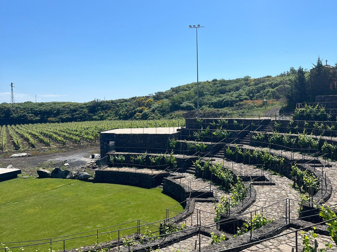 Winery Patria景点图片