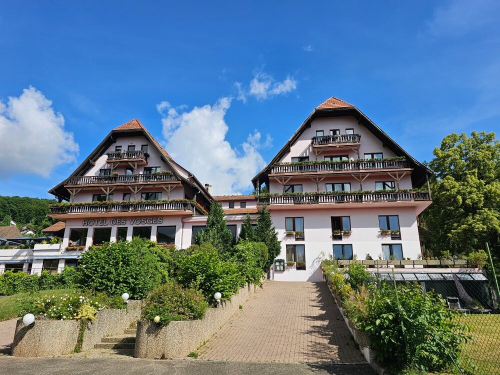 Hotel Des Vosges主图