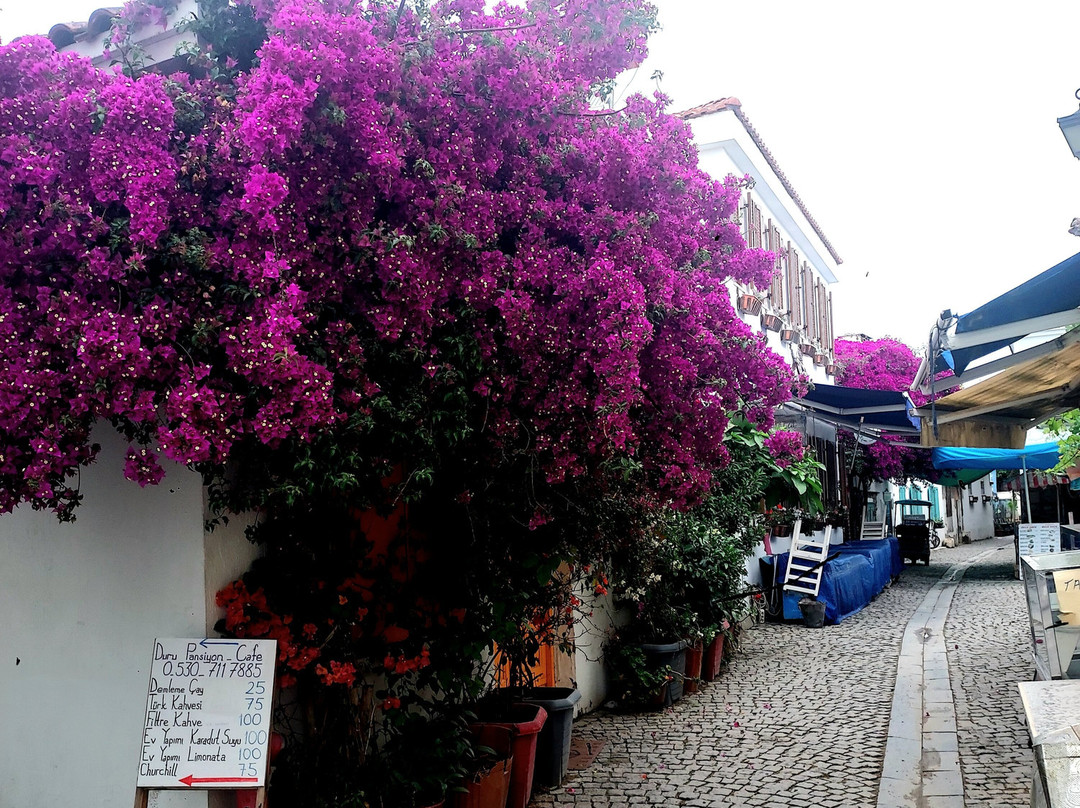 Sigacik Kalesi景点图片