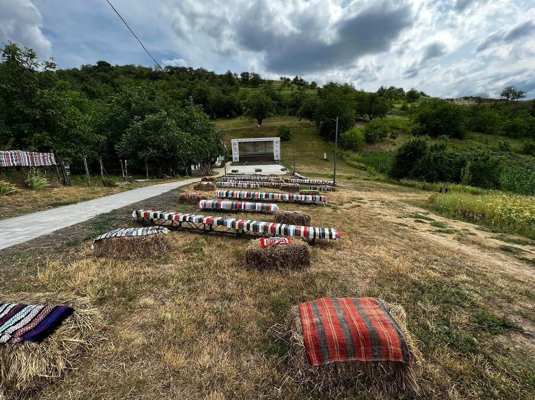 Pensiune Turistica „vatra Dumeniului”