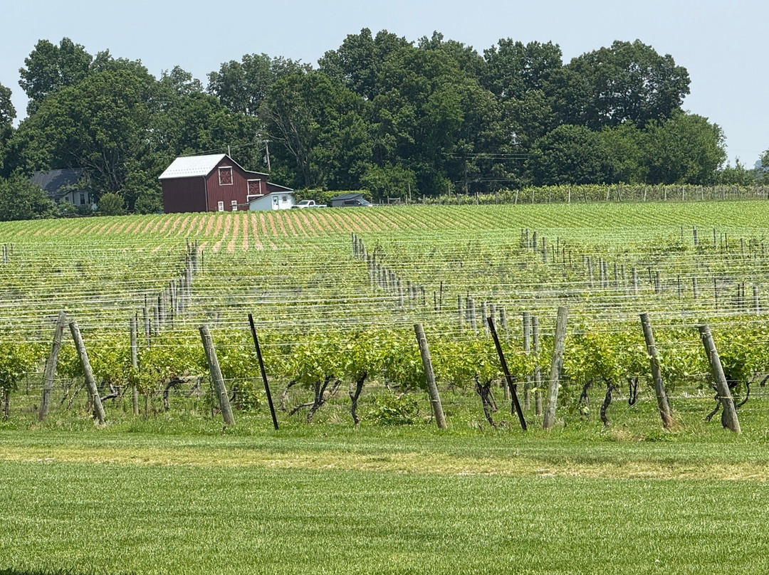 Allegro Winery-Stewartstown必去景点