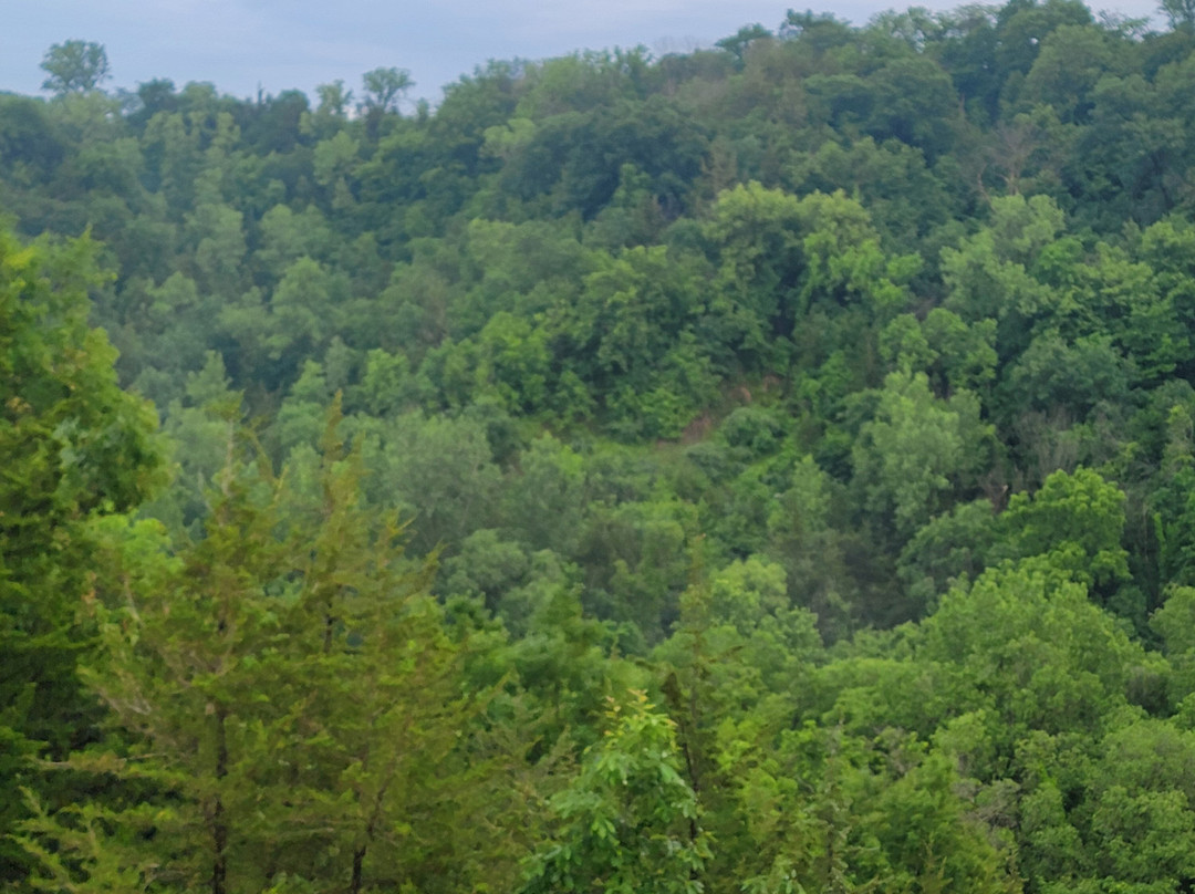 Rail Explorers: Boone IA Division景点图片