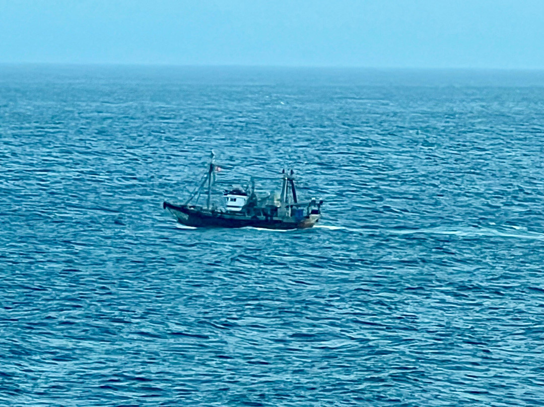 Agadir Fishing Port-阿加迪尔必去景点