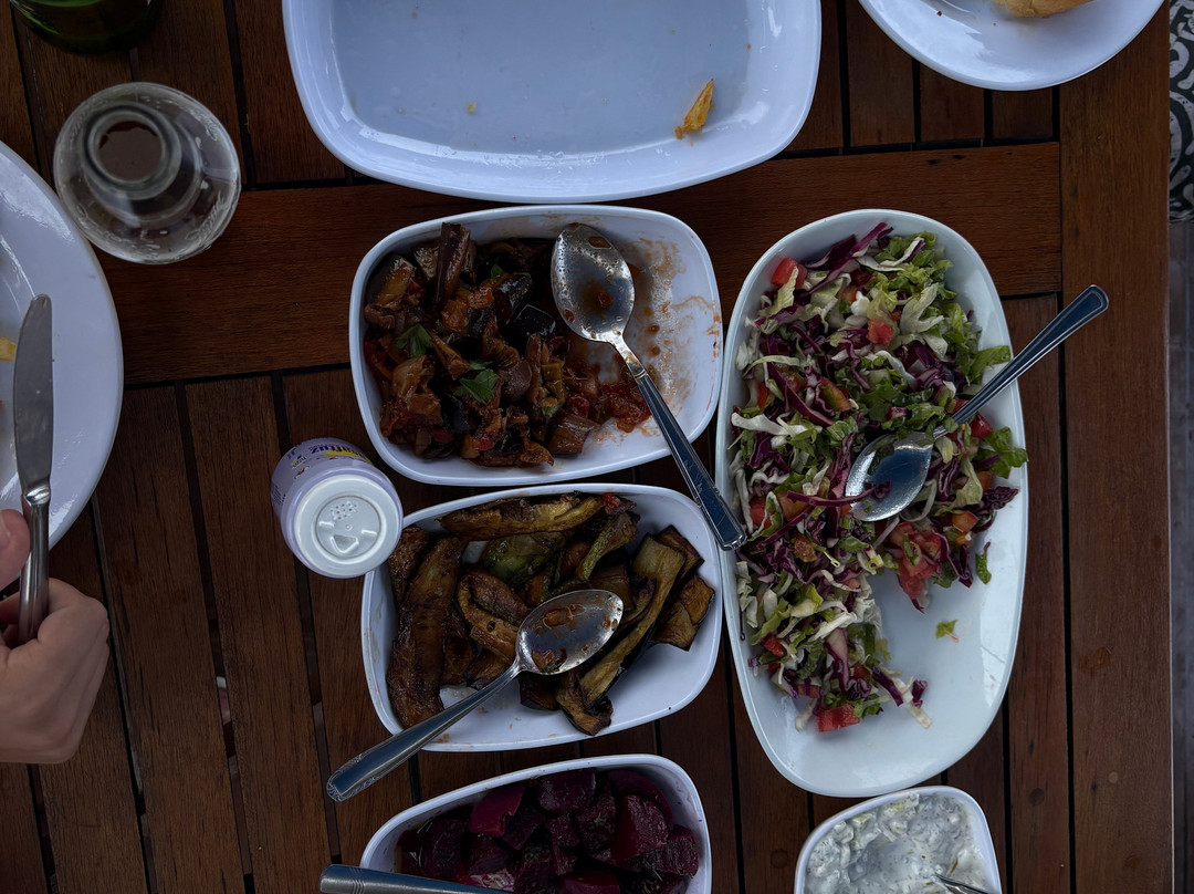 Aphrodite Accommodation, Boat Tours & Fishing Trips Agent Girne-克利尼亚必去景点