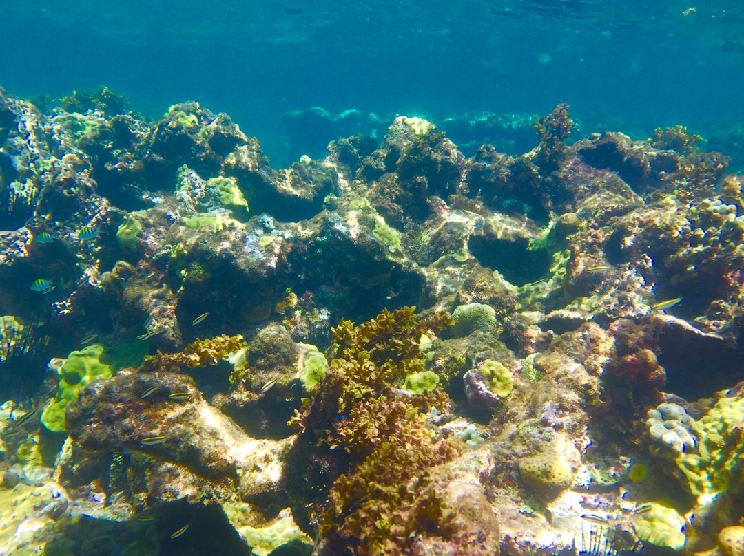 Kalinago-Sainte-Anne必去景点