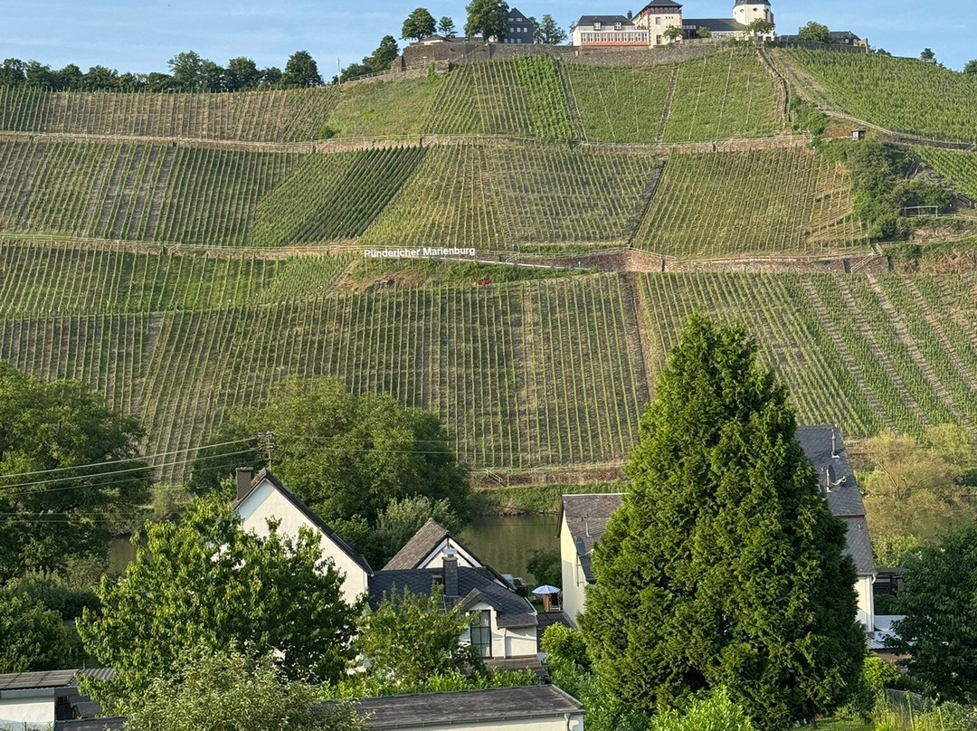 Weingut Clemens Busch