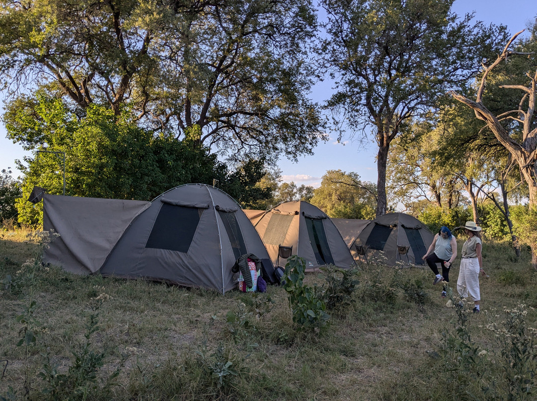 Shangana Safaris Okavango Botswana景点图片