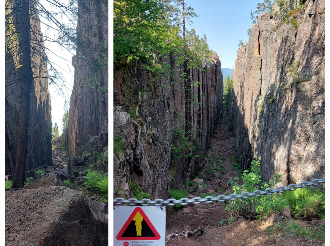 Skuleskogen Nationalpark-Ornskoldsvik必去景点