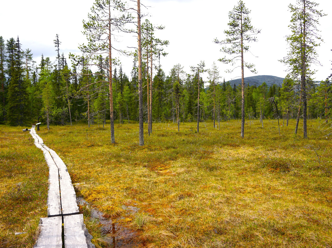 Pyhäjoen Luontopolku-Muonio必去景点