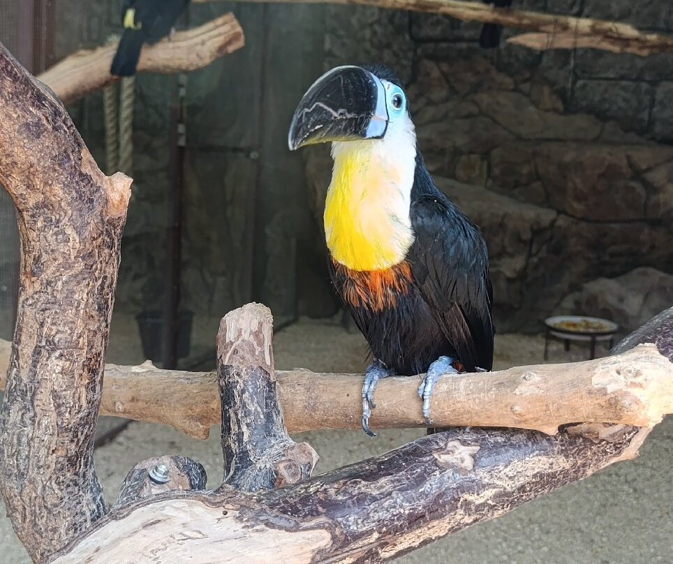 Safari Park景点图片