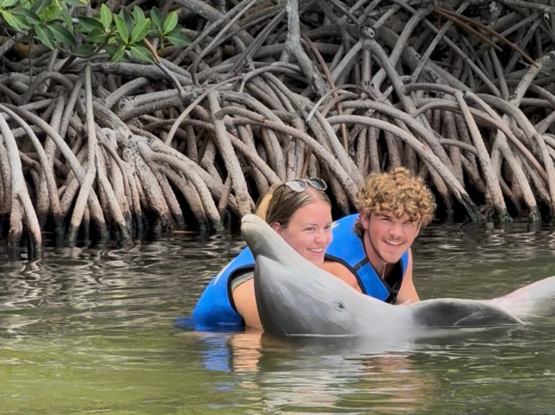 海豚商店-基拉戈-拉哥岛必去景点