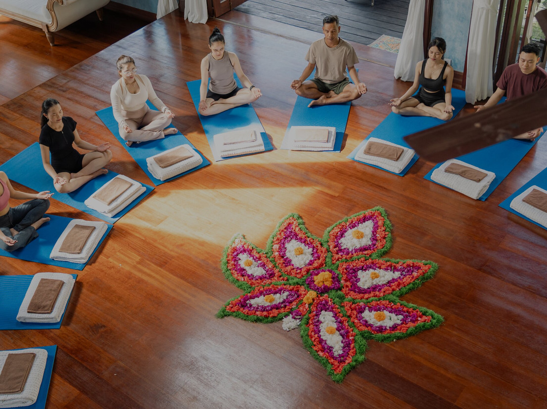 Lumina Wellness Retreat