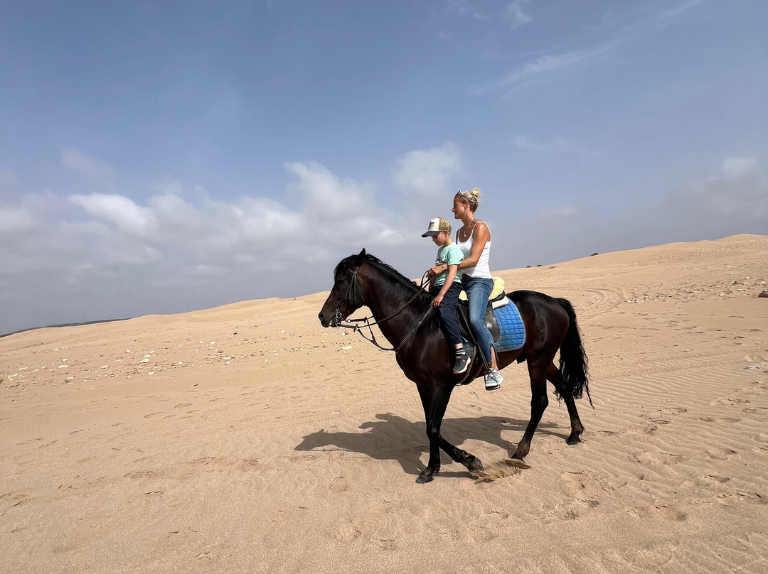 Mogador Horse-Diabat必去景点