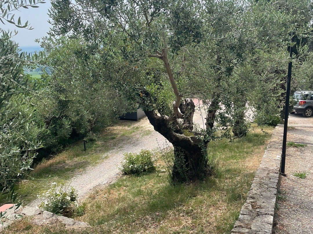 Azienda Agricola Trabucchi-Illasi必去景点