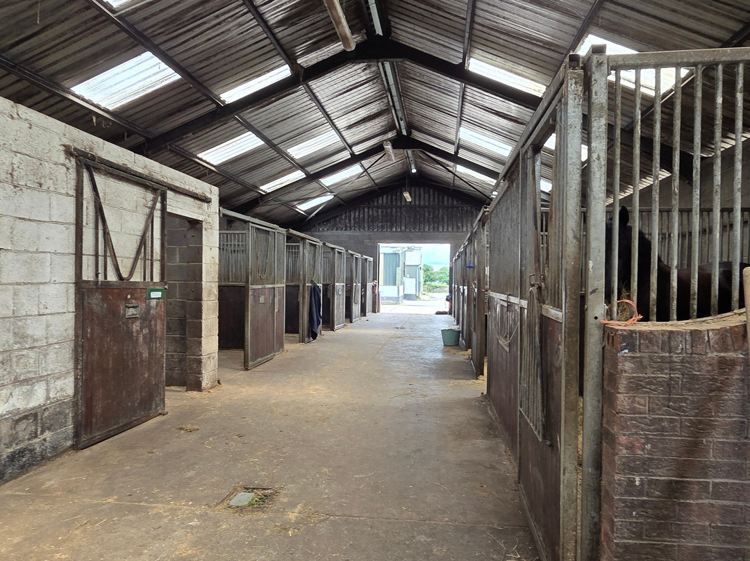 Abbeyfield Farm-Clane必去景点