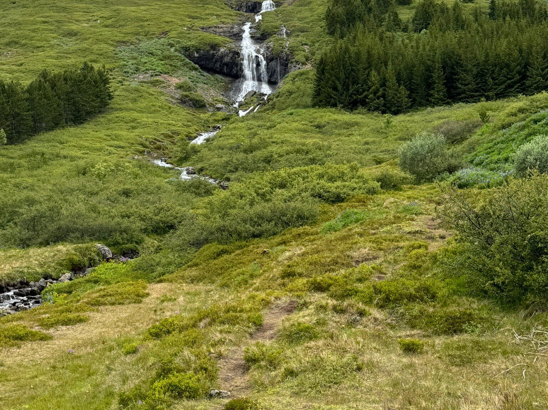 ATV Isafjordur-伊萨菲厄泽必去景点