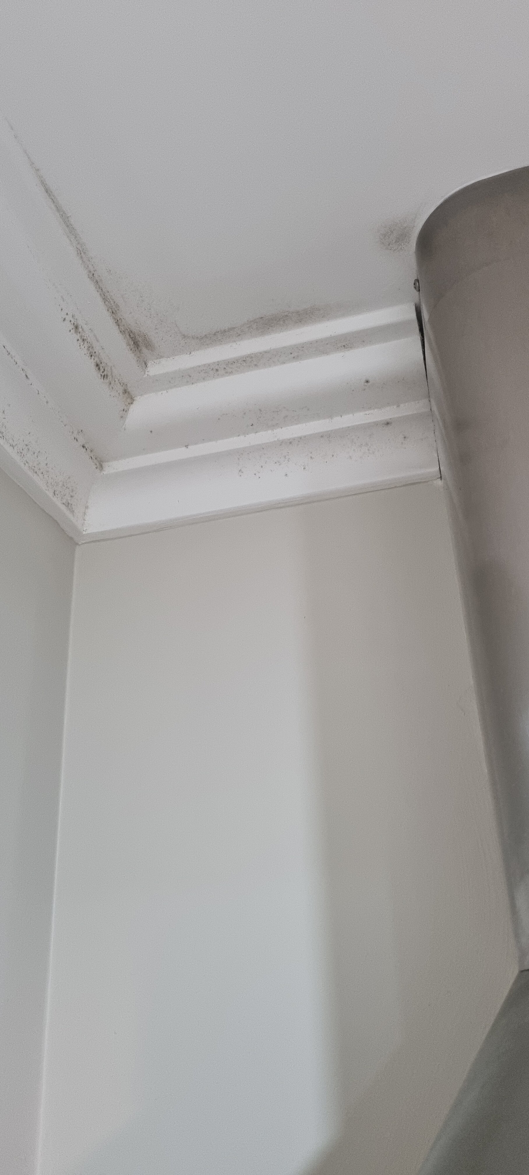 Mantra Mackay-客卧