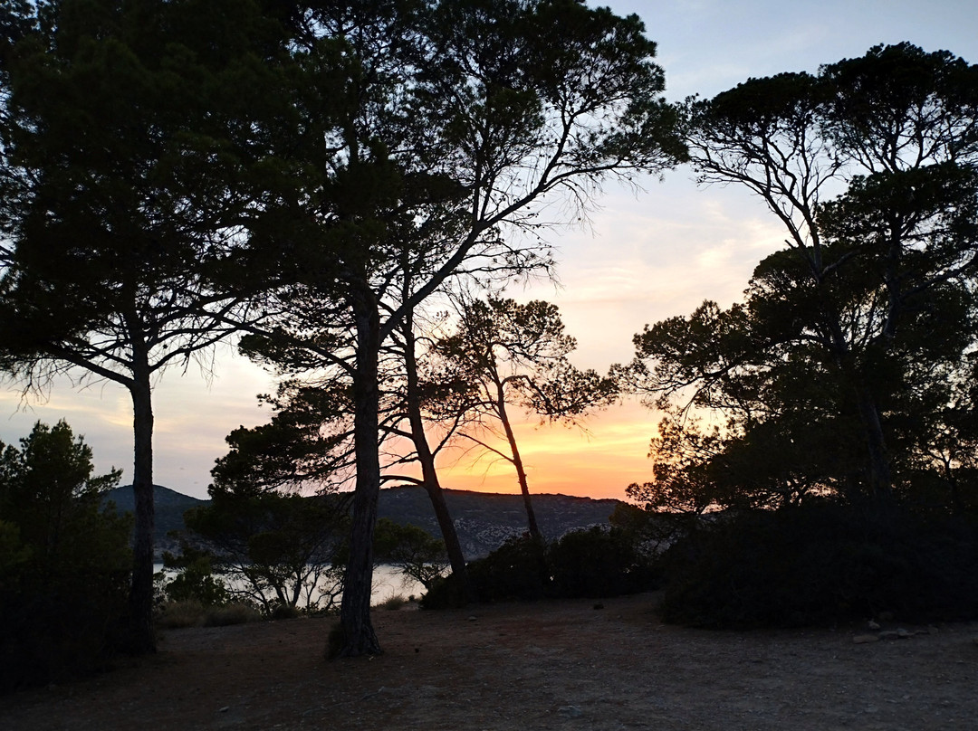 Wander Jürgen Mallorca-帕格拉必去景点